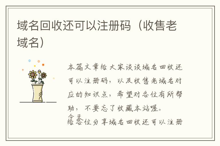域名回收还可以注册码(收售老域名)