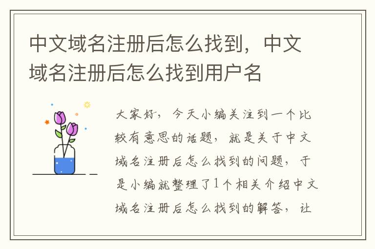 中文域名注册后怎么找到,中文域名注册后怎么找到用户名