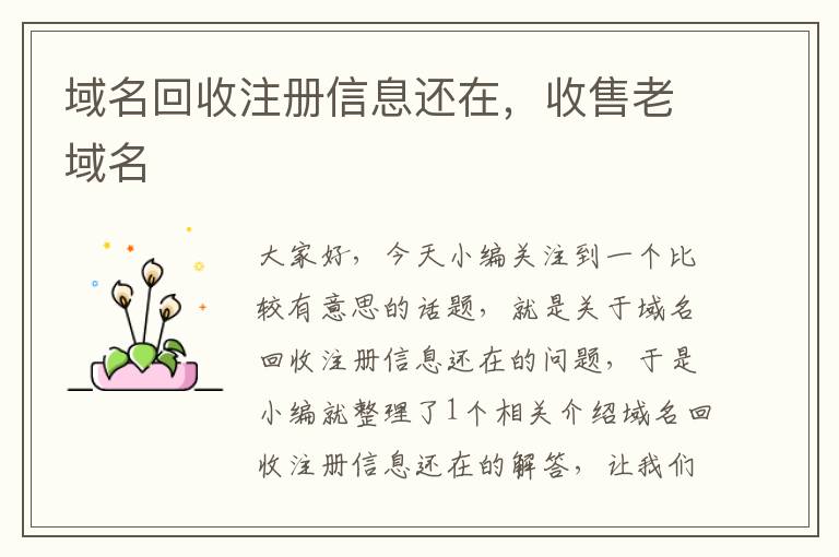 域名回收注册信息还在,收售老域名