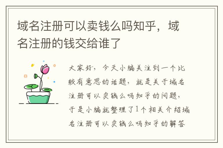 域名注册可以卖钱么吗知乎,域名注册的钱交给谁了
