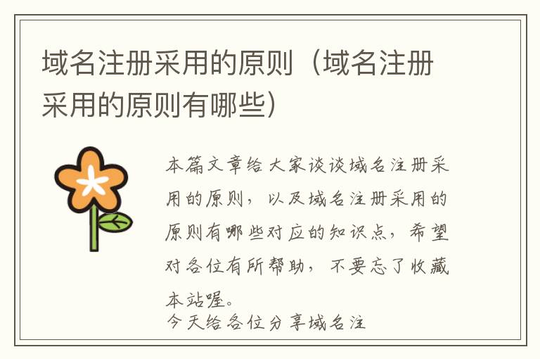 域名注册采用的原则(域名注册采用的原则有哪些)