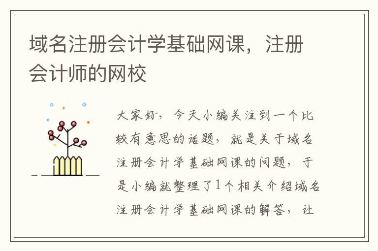 域名注册会计学基础网课,注册会计师的网校