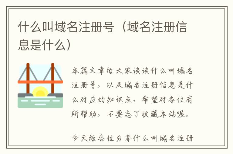 什么叫域名注册号（域名注册信息是什么）