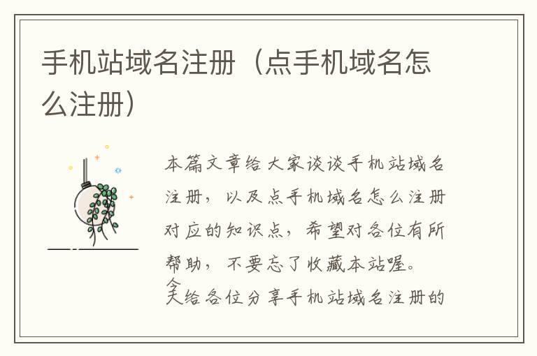 手机站域名注册(点手机域名怎么注册)