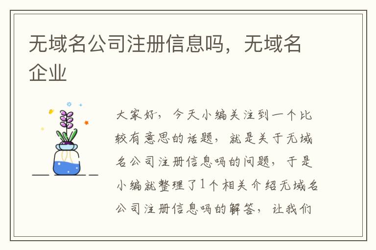 无域名公司注册信息吗,无域名企业