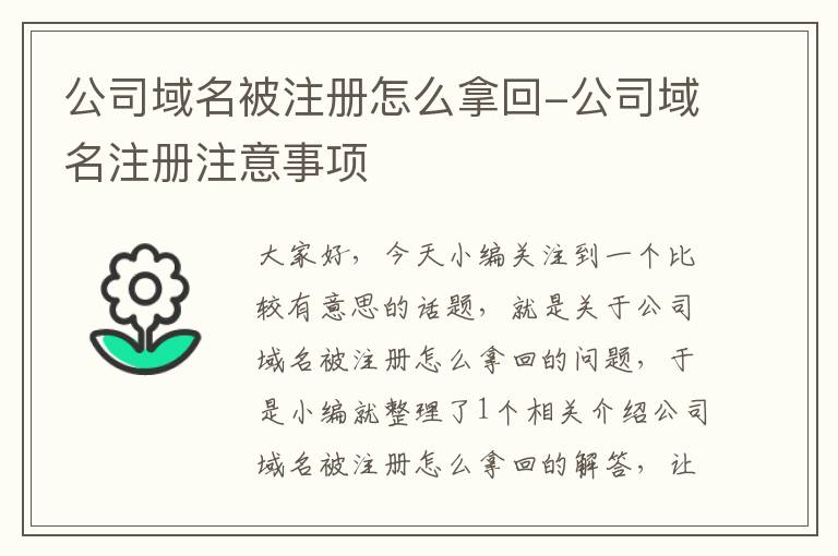 公司域名被注册怎么拿回-公司域名注册注意事项