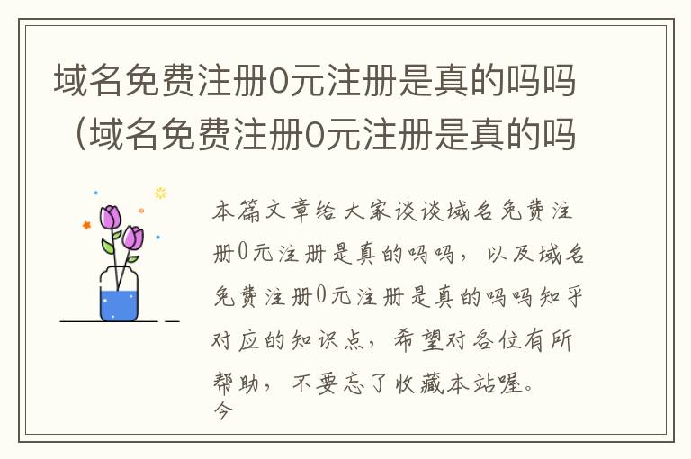 域名免费注册0元注册是真的吗吗(域名免费注册0元注册是真的吗吗知乎)