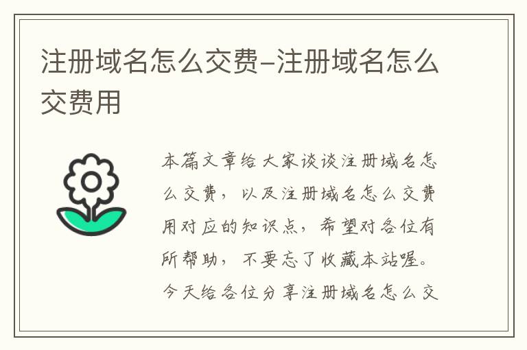 注册域名怎么交费-注册域名怎么交费用