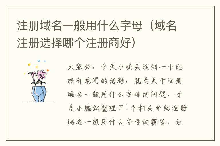注册域名一般用什么字母(域名注册选择哪个注册商好)