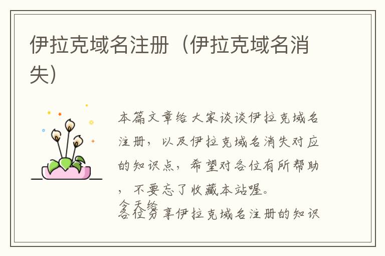 伊拉克域名注册(伊拉克域名消失)