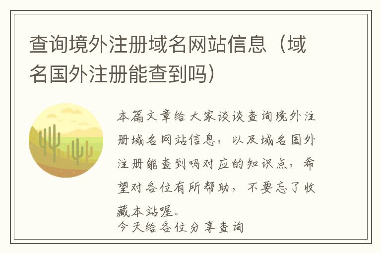 查询境外注册域名网站信息(域名国外注册能查到吗)