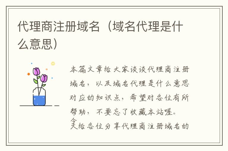 代理商注册域名(域名代理是什么意思)