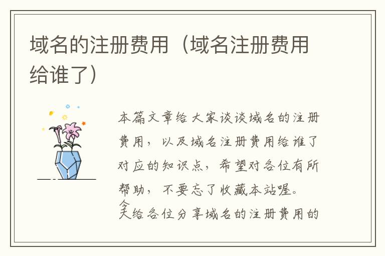 域名的注册费用(域名注册费用给谁了)