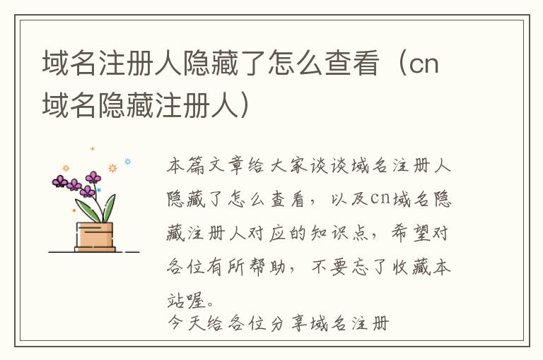 域名注册人隐藏了怎么查看(cn域名隐藏注册人)