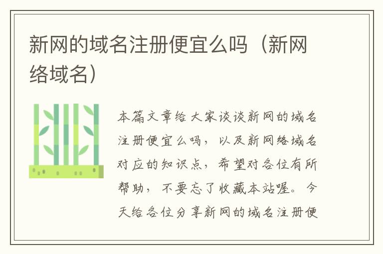 新网的域名注册便宜么吗(新网络域名)