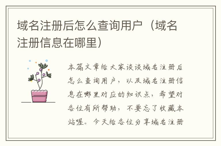 域名注册后怎么查询用户(域名注册信息在哪里)