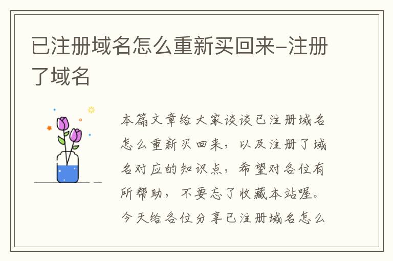 已注册域名怎么重新买回来-注册了域名