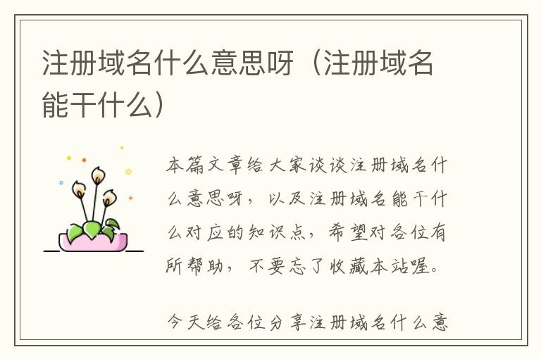 注册域名什么意思呀(注册域名能干什么)