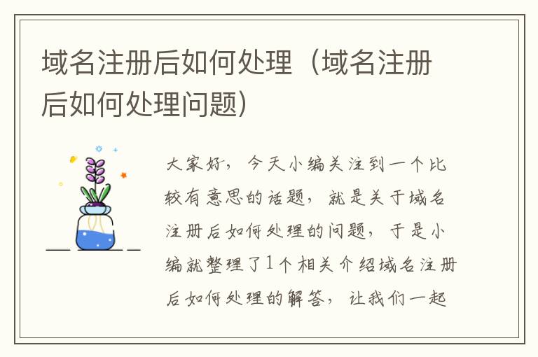 域名注册后如何处理(域名注册后如何处理问题)