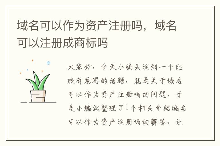 域名可以作为资产注册吗,域名可以注册成商标吗