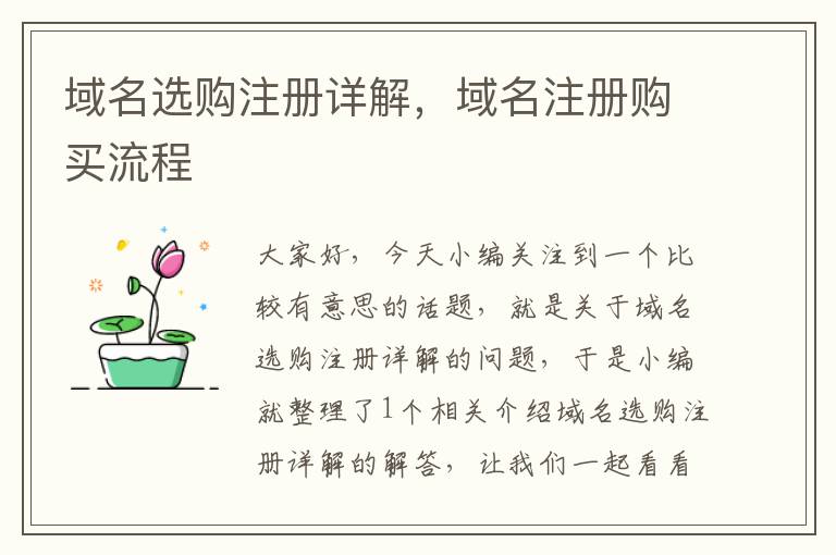 域名选购注册详解,域名注册购买流程