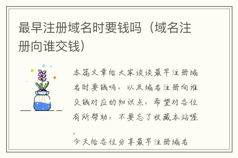 最早注册域名时要钱吗(域名注册向谁交钱)