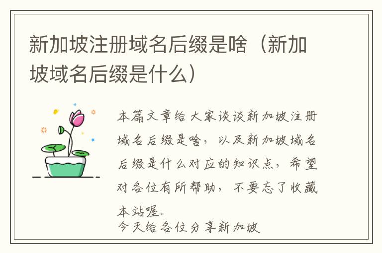 新加坡注册域名后缀是啥(新加坡域名后缀是什么)