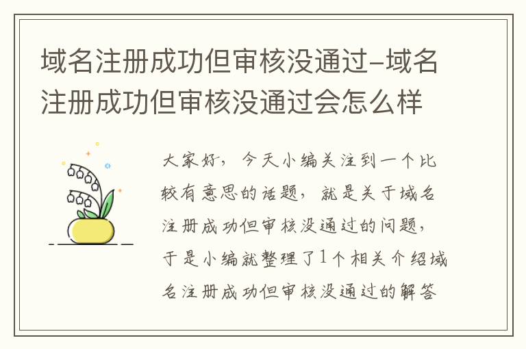 域名注册成功但审核没通过-域名注册成功但审核没通过会怎么样