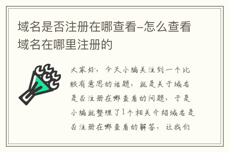 域名是否注册在哪查看-怎么查看域名在哪里注册的