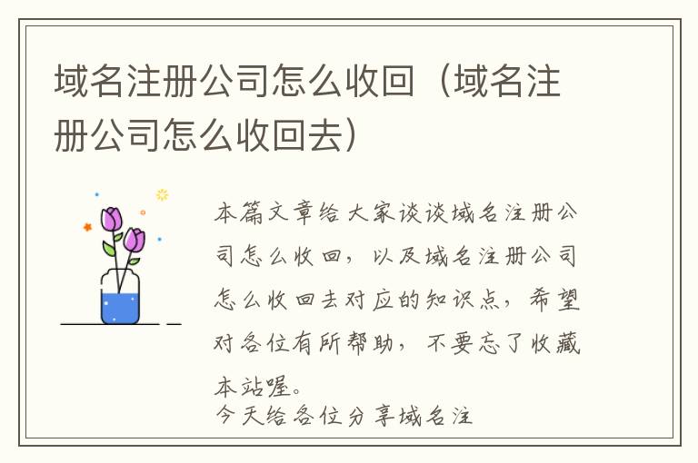 域名注册公司怎么收回(域名注册公司怎么收回去)