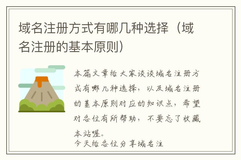 域名注册方式有哪几种选择(域名注册的基本原则)