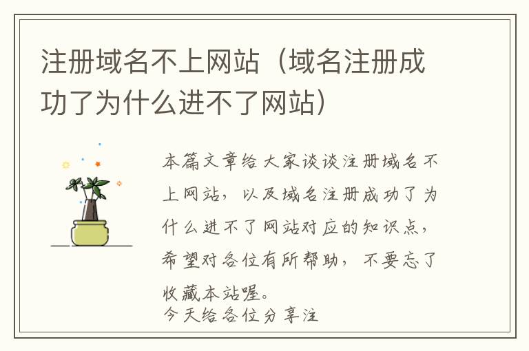 注册域名不上网站(域名注册成功了为什么进不了网站)