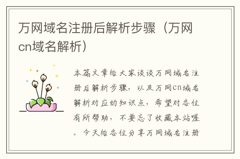 万网域名注册后解析步骤(万网cn域名解析)