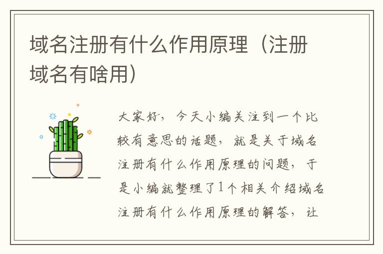 域名注册有什么作用原理(注册域名有啥用)