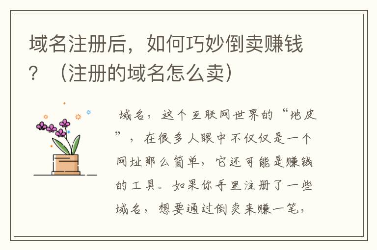 域名注册后,如何巧妙倒卖赚钱?(注册的域名怎么卖)
