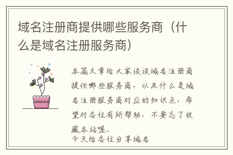 域名注册商提供哪些服务商(什么是域名注册服务商)