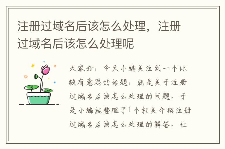 注册过域名后该怎么处理,注册过域名后该怎么处理呢