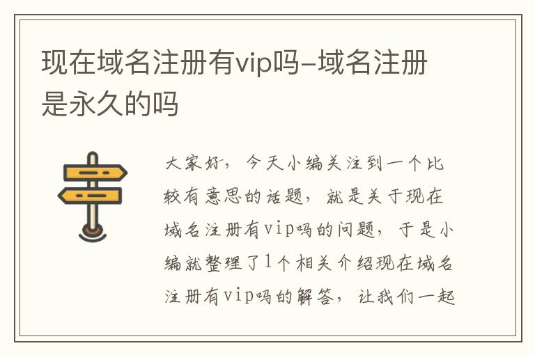 现在域名注册有vip吗-域名注册是永久的吗