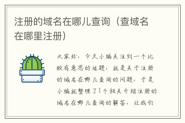 注册的域名在哪儿查询(查域名在哪里注册)