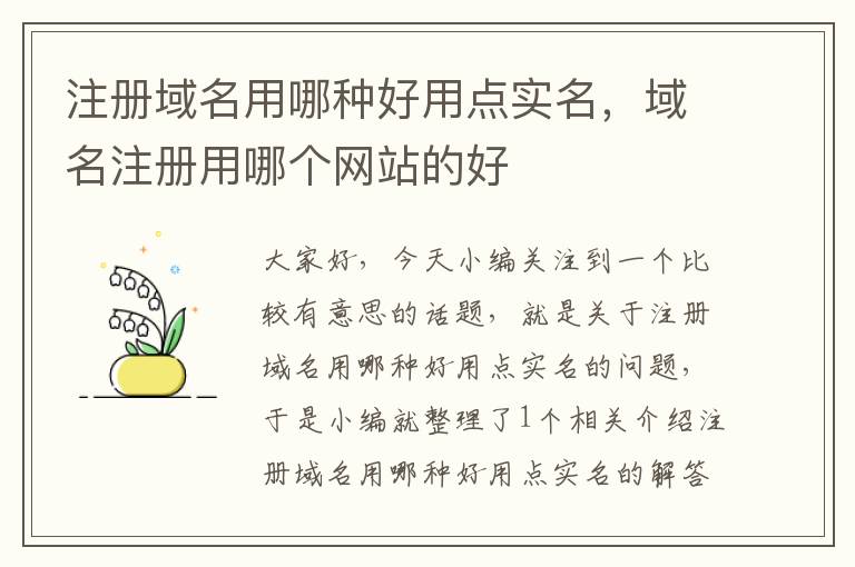 注册域名用哪种好用点实名,域名注册用哪个网站的好