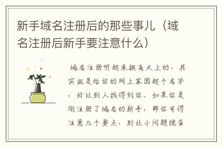 新手域名注册后的那些事儿(域名注册后新手要注意什么)