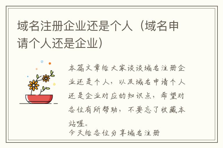 域名注册企业还是个人(域名申请个人还是企业)