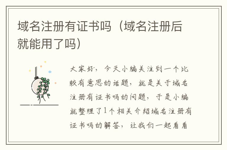 域名注册有证书吗(域名注册后就能用了吗)