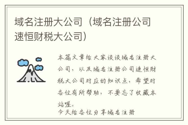 域名注册大公司(域名注册公司速恒财税大公司)