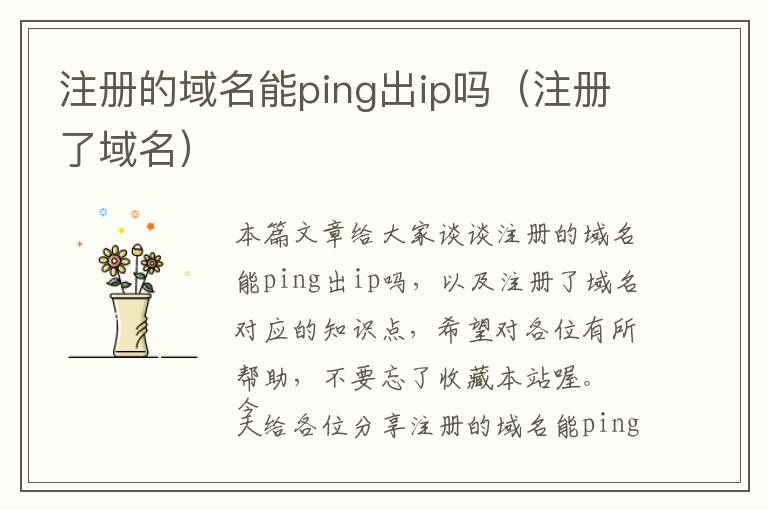 注册的域名能ping出ip吗(注册了域名)