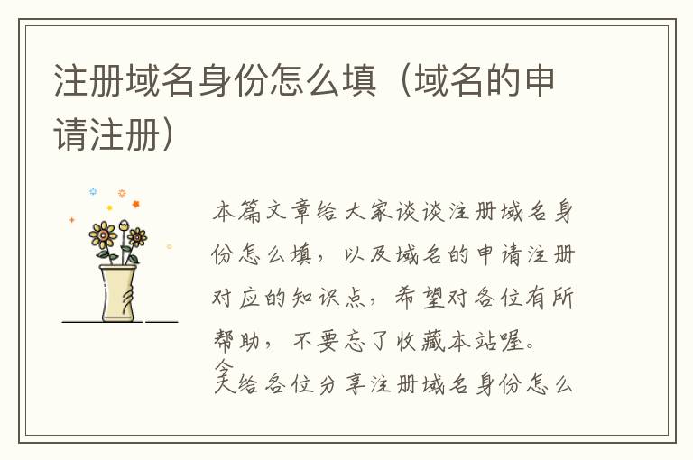 注册域名身份怎么填(域名的申请注册)