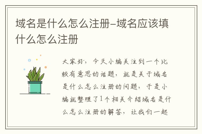 域名是什么怎么注册-域名应该填什么怎么注册