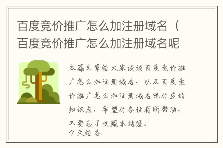 百度竞价推广怎么加注册域名(百度竞价推广怎么加注册域名呢)
