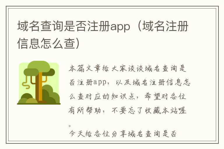 域名查询是否注册app(域名注册信息怎么查)