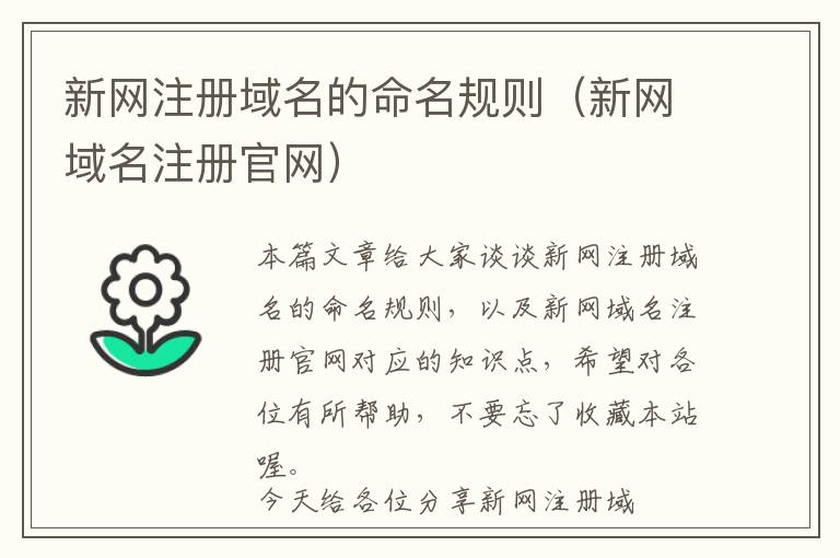 新网注册域名的命名规则(新网域名注册官网)